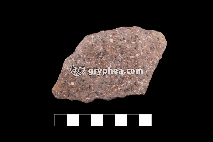 Rhyolite - gryphea.com